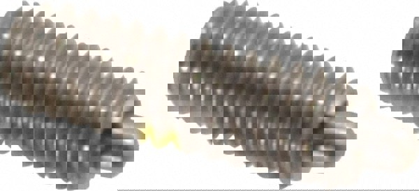 Threaded Spring Plunger: 1/4-20, 3/4